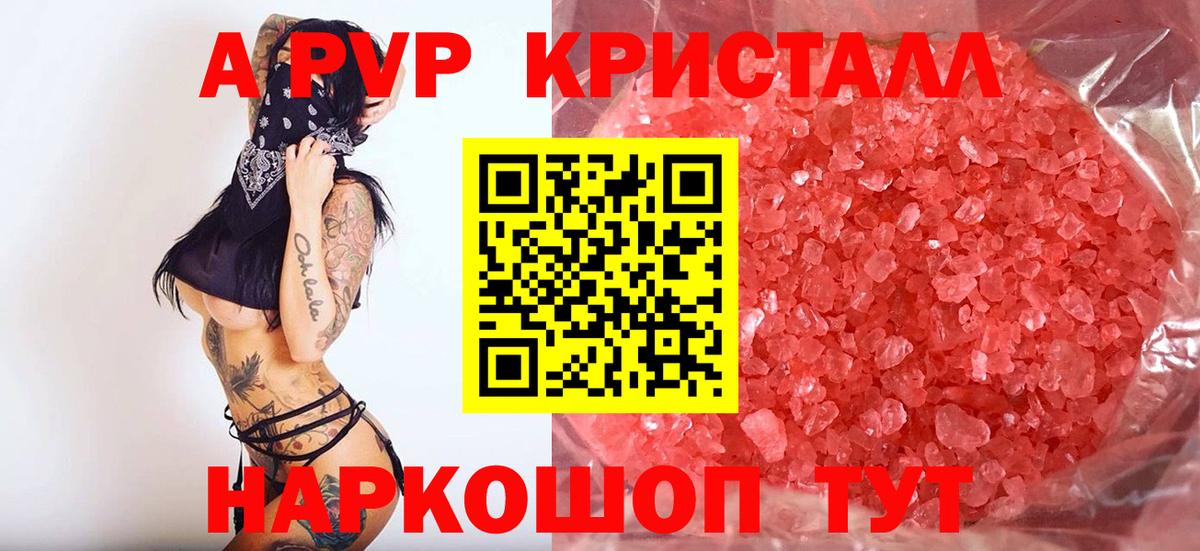 APVP СК КРИС  A-PVP СК  Абинск  Вход с VPN  Alfa_PVP крисы CK 